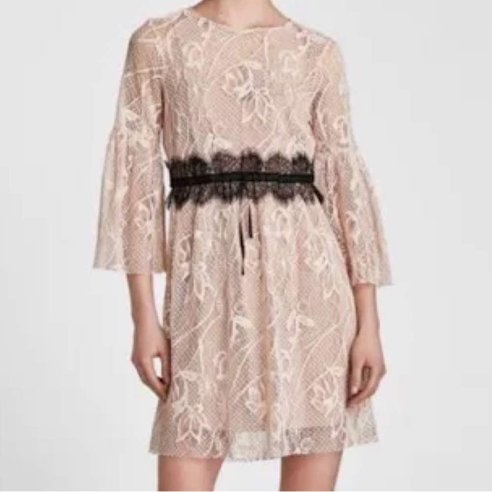 Zara Basic Contrasting Lace Dress